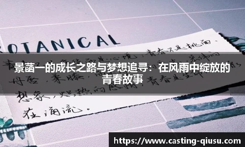 球速体育公司